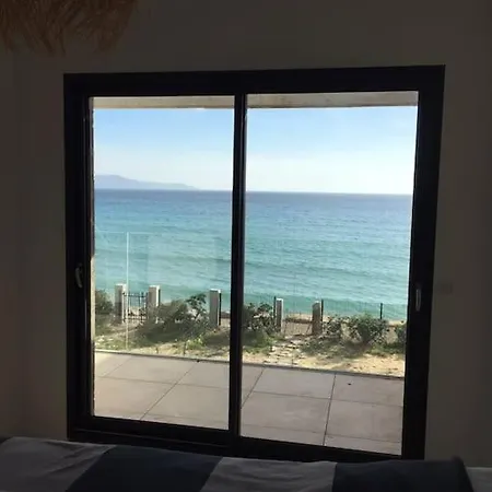 Cactus Sur La Plage 6 Ch Piscine